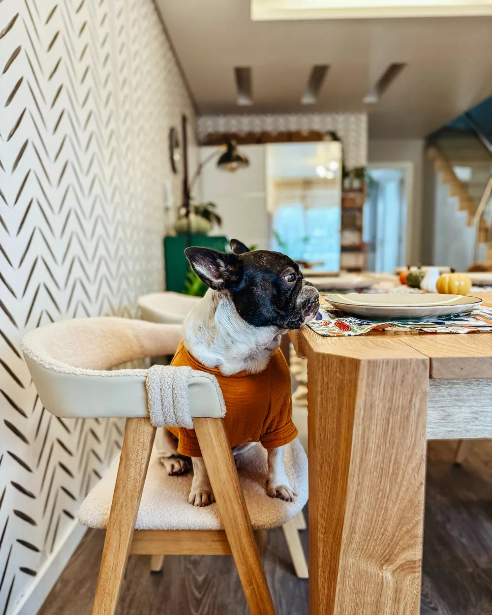 Set 2 Dining Chairs in Traditional Style