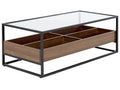 COFFEE TABLE WACO – TEMPERED GLASS TOP WITH STORAGE (BLACK)