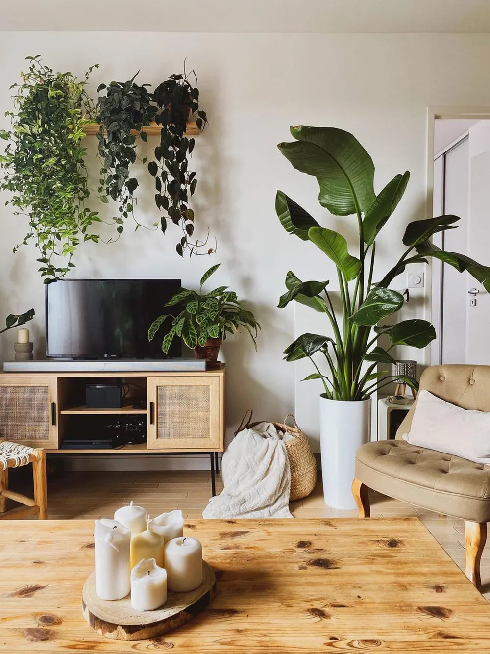 PASCO Rattan TV Stand 120 cm, Light Brown – TV Cabinet up to 55 Inch