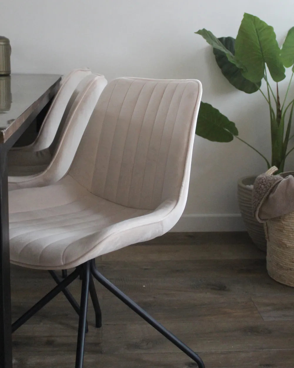 NAVASOTA Set of 2 Upholstered Dining Chairs, Beige Velvet, Black Steel Cross Base